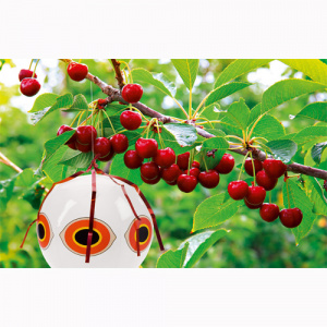 Stocker Balon pentru speriat pasari 45109