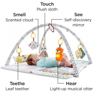 Fisher Price Perfect Sense Deluxe Gym