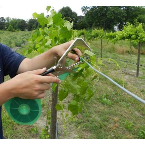 Micul Fermier Cleste aparat pentru legat vita de vie GF-0200