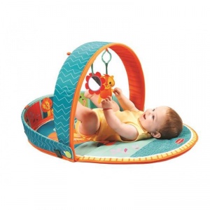 Tiny Love Gymini Loc de joaca 3 in 1