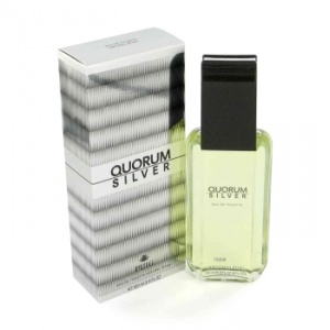 Antonio Puig Quorum Silver 100 ml EDT