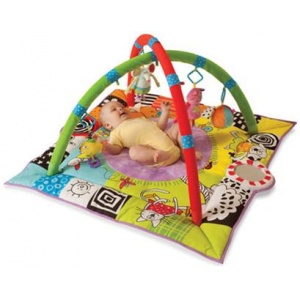 Taf Toys Centru de joaca Prima mea petrecere