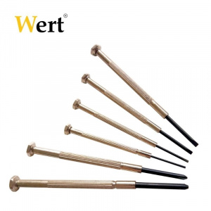 Wert Set surubelnite precizie 6 bucati W2251
