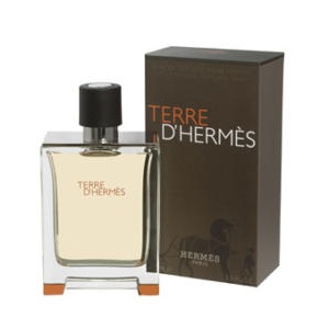 Hermes Terre D'Hermes EDT 100ml
