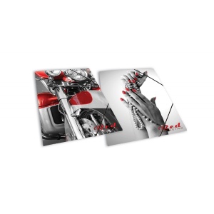 Skag Mapa carton Red Collection cu elastic 245098