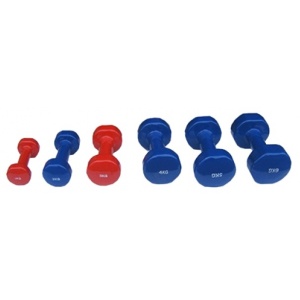 Dayu Fitness Gantera aerobic 2 Kg DY-PV-03-2KG