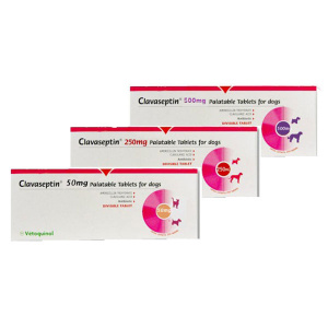 Vetoquinol Clavaseptin 250 mg 10 tablete