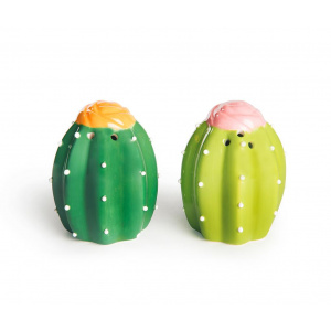 Excelsa Set solnita si pipernita Cactus