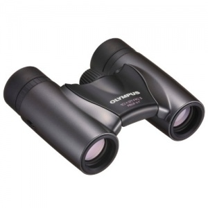 Olympus 10x21 RC II Dark Silver (N3852192)