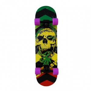 Sporter Skateboard 902L-a