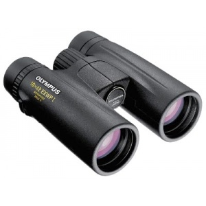 Olympus 10 x 42 EXWP I