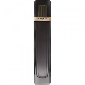 Paris Hilton Gold Rush EDT 100 ml