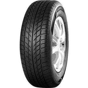 Westlake SW613 195/65R16 104/102T M+S