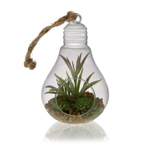 Versa Ghiveci mini din sticla - In Hanging Glas