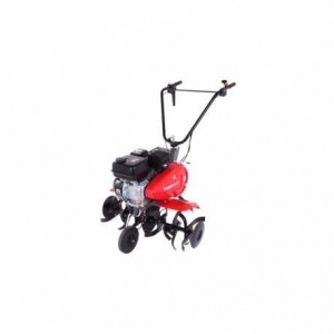 Pubert Motosapatoare ARO 55 P C3