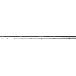 Daiwa Crossfire EEL 2.70m 30-95g