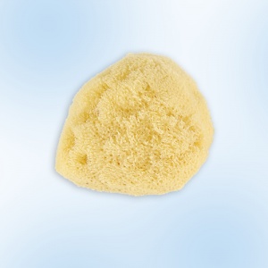 Grünspecht Burete natural Zimocca