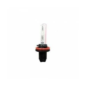 Carguard Bec Xenon H116000K 12V 35W