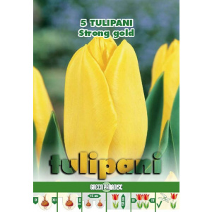 Green Paradise Bulbi Lalele Strong Gold, galben, 5 buc