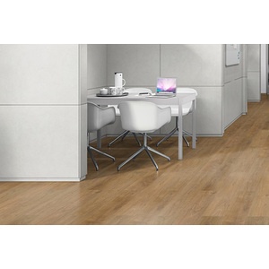 EGGER Parchet laminat 10 mm stejar Punata EPL131