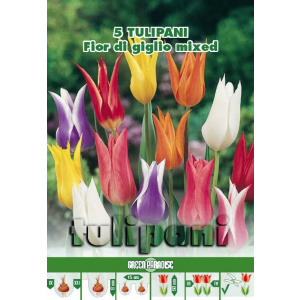 Green Paradise Bulbi Lalele floare de crin Mixtura, mix, 5 buc