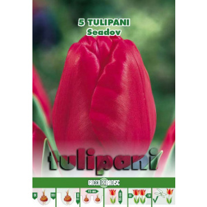 Green Paradise Bulbi Lalele Seadov, rosu deschis, 5 buc