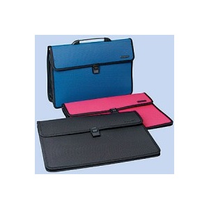 Centrum Servieta plastic cu maner 2 compartimente 80611