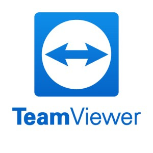 TeamViewer TeamViewer 14 Business Subscription - 1 an