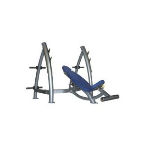 Dayu Fitness Banca inclinata fixa GB 201