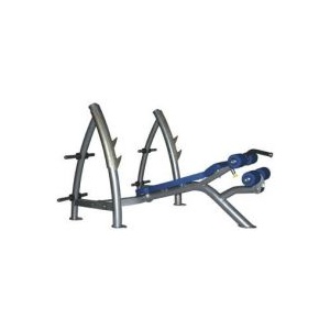 Dayu Fitness Banca profesionala GB 202