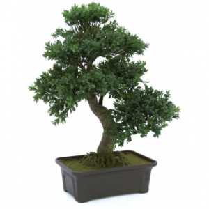 Bonsai Artificiali Firma Amenajari Gradini Si Proiecte