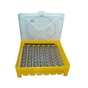 Micul Fermier Incubator de oua MF0004