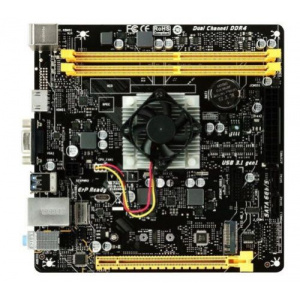BioStar A10N-8800E
