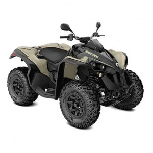 Can-Am Renegade DPS 650 T 2021