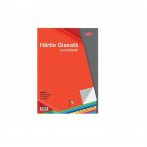 Daco Hartie glasata autocolanta lucioasa, 10 file/set, 20 set/pachet
