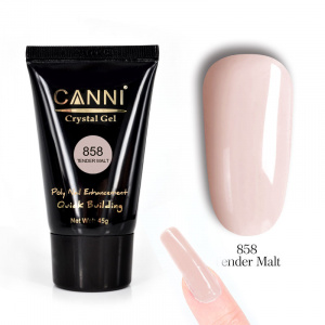 CANNI Polygel - 858
