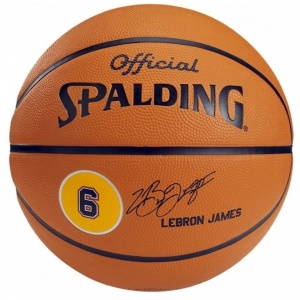 Spalding Minge baschet LeBron James