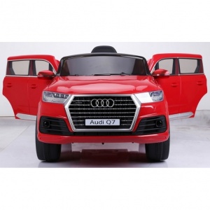 Moni AUDI Q7 12 Volti