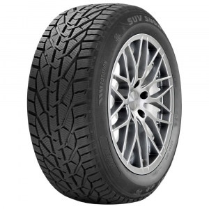 RiKEN Snow 205/55 R17 95V