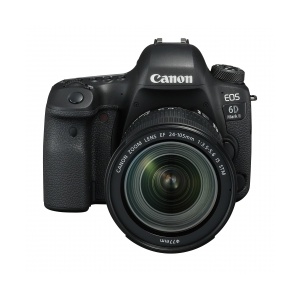Canon EOS 6D Mark II Kit EF 24-105mm f/3.5-5.6 IS STM