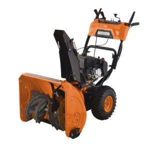 Ruris Freza de zapada Himalaya 602