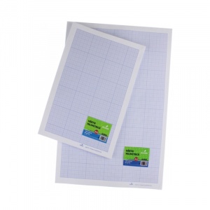 Ecada Hartie milimetrica top 100 coli A3