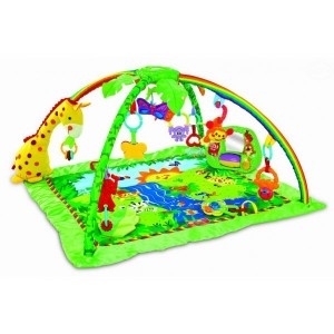 EuroBaby Salteluta de Joaca 8813