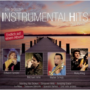 Various Artists VARIOUS ARTISTS-DIE GRöSSTEN INSTRUMENTAL HITS-CD