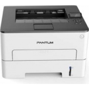 Pantum P3010DW
