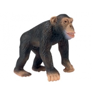 Schleich Figurina in forma de cimpanzeu mascul 14189