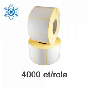 ZINTA Role etichete semilucioase 50x40mm, pentru congelate, 4000 et./rola - 50X40X4000-SGP-DF