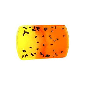 Camco Sapun glicerina fabricat manual SPA Melon - 70 g
