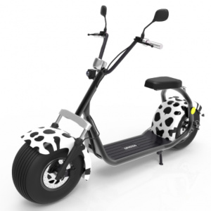 ZTE Moped electric RoBaRo
