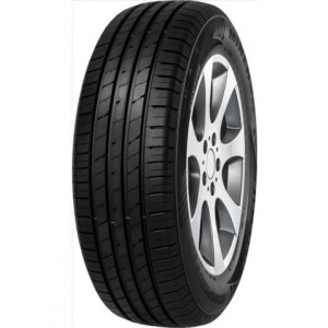 Minerva ECOSPEED2 SUV 225/65 R17 102H